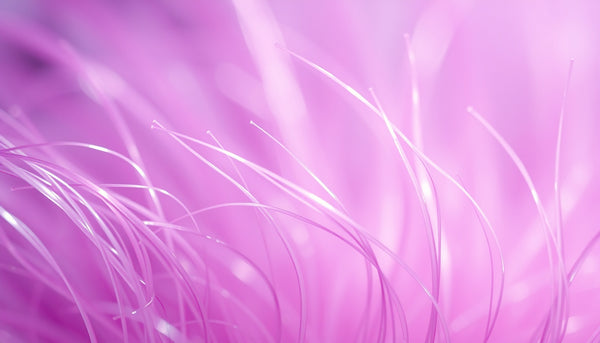 HRT Hair Follicle Health: Essential Tips to Boost Hair Growth Naturally