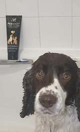 Hundeshampoo, hergestellt in Großbritannien | Katzenshampoo Vollgepackt mit natürlichen Inhaltsstoffen.